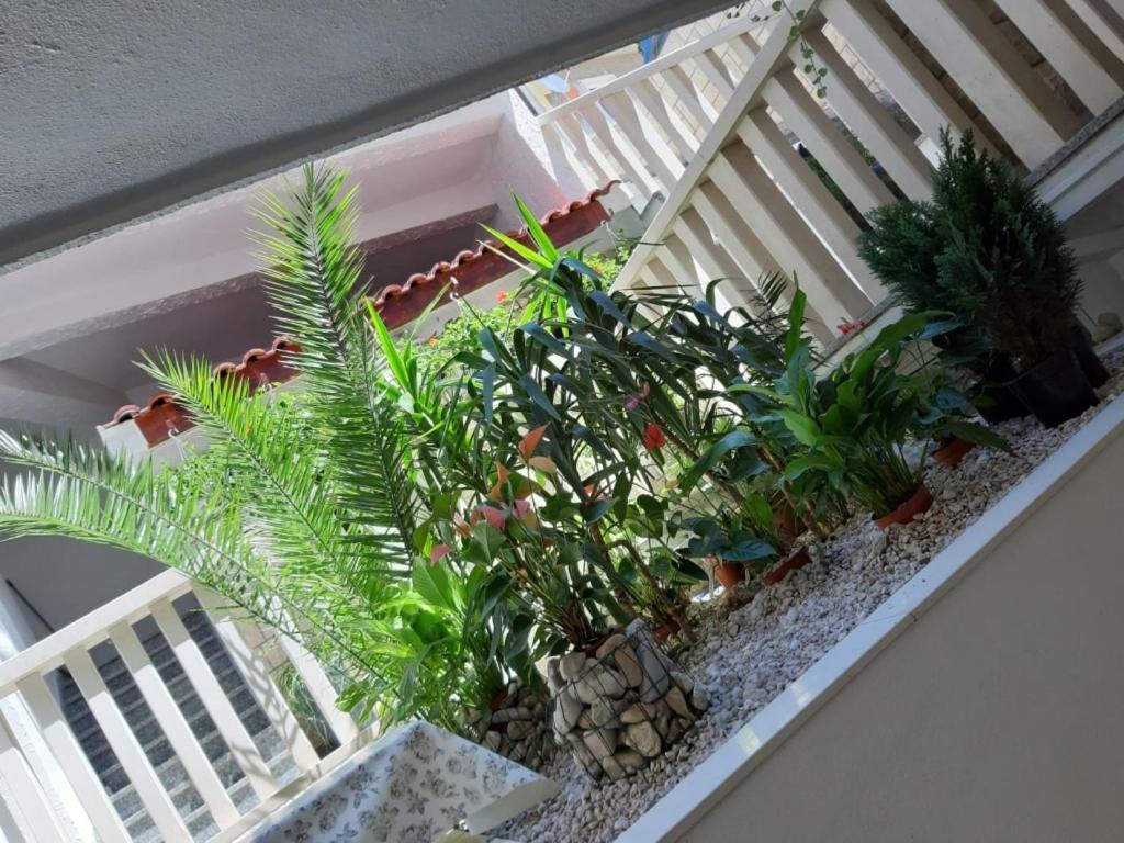 Apartments Duce Exterior photo